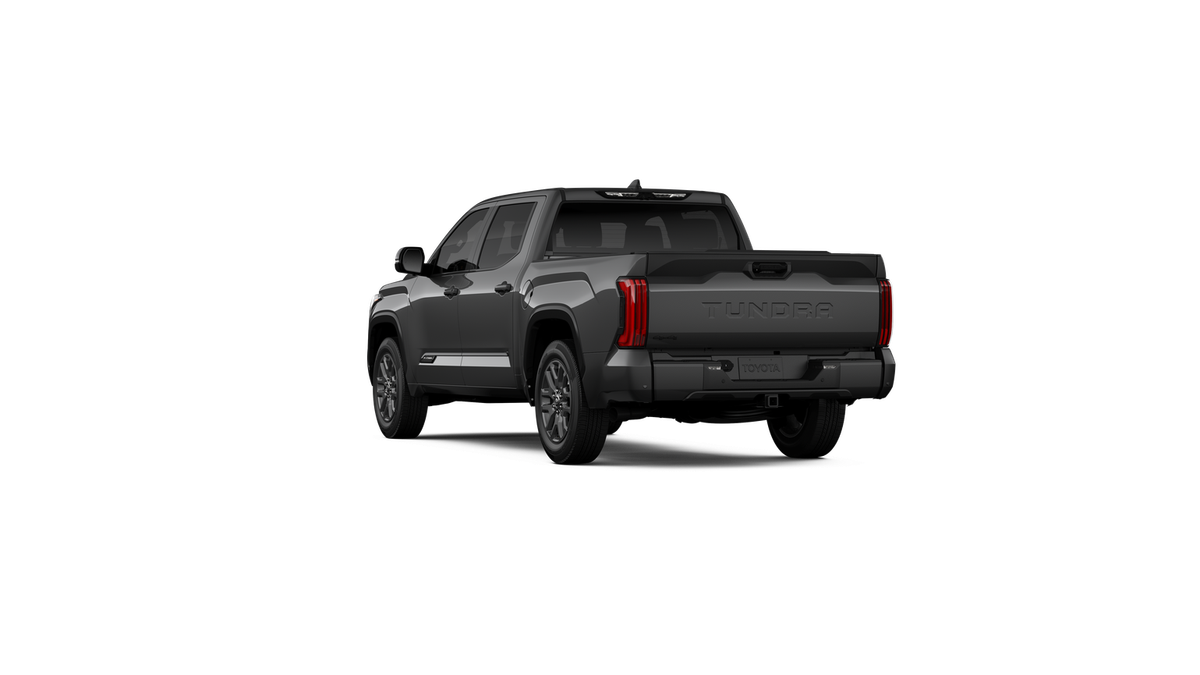 New 2026 Magnetic Gray Metallic Toyota Platinum image 37