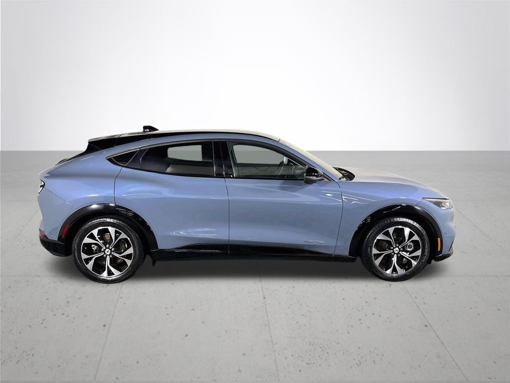 Used 2023 Vapor Blue Ford Premium image 5