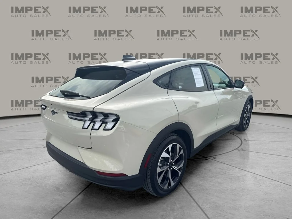 Used 2025 Beige Ford Select image 3