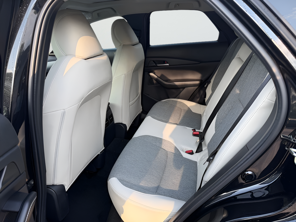 New 2026 Jet Black Mica Mazda 2.5 S Aire Edition image 20