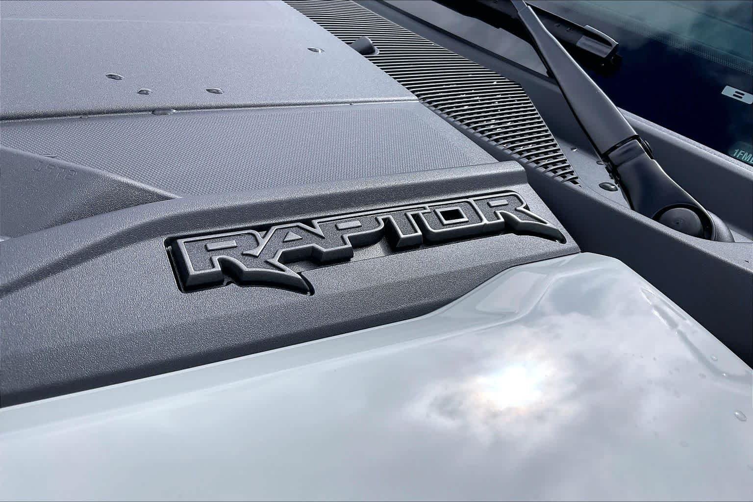 New 2026 Avalanche Gray Ford Raptor® image 15