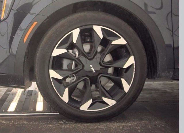 Used 2025 Panthera Metal Kia SX image 20
