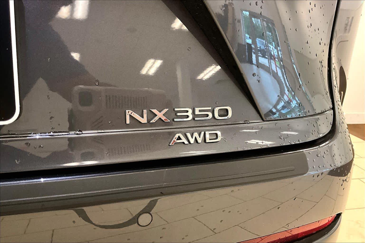 Used 2023 Cloudburst Gray Lexus F SPORT Handling image 29