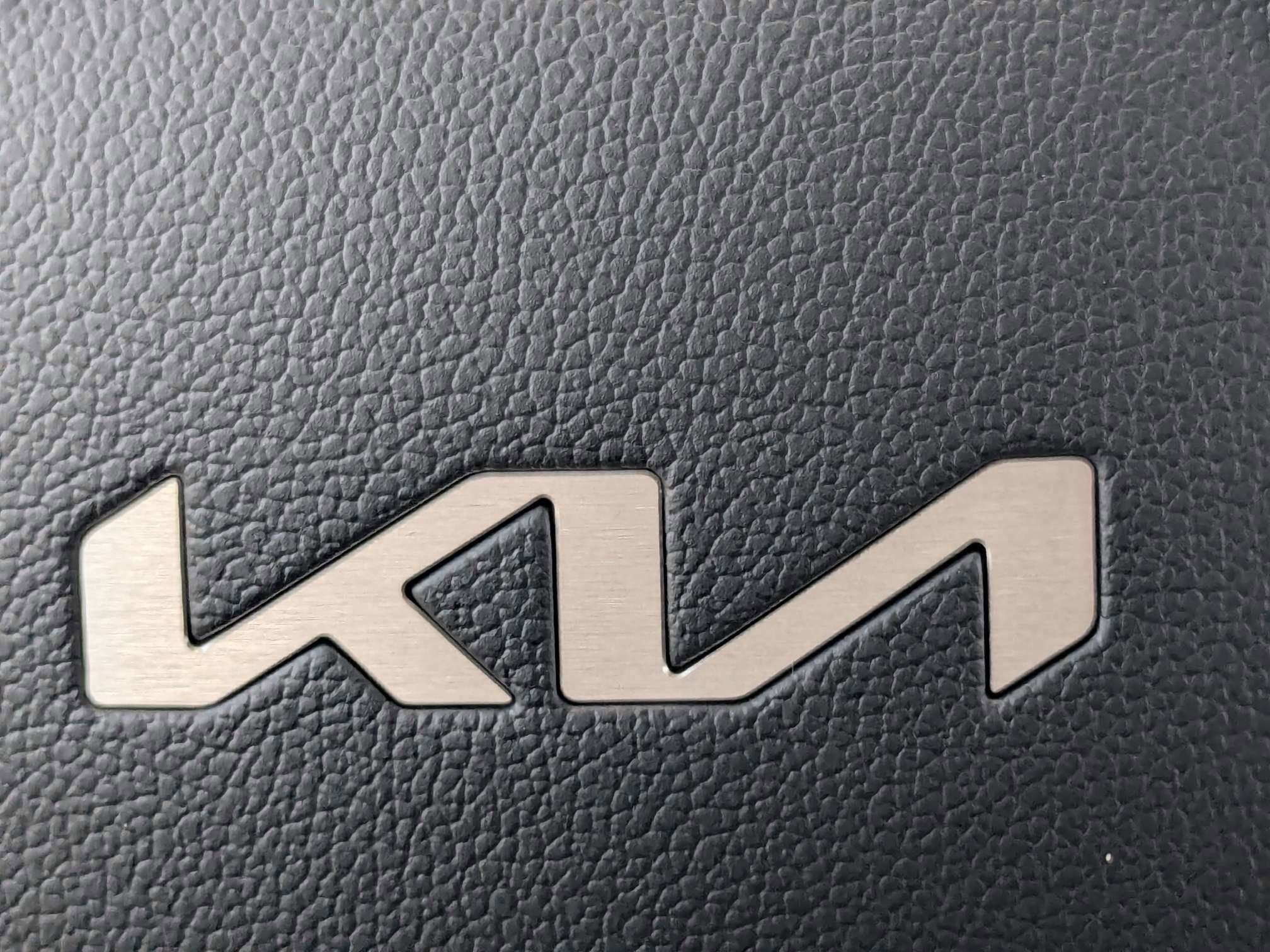 New 2026 Panthera Metal Kia EX image 39