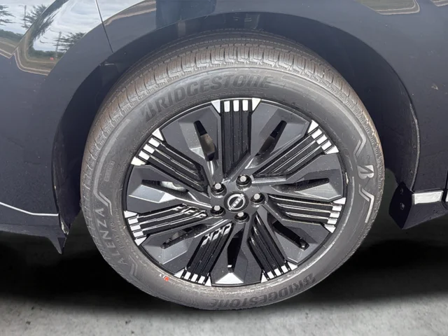 New 2026 Super Black Nissan Platinum image 29