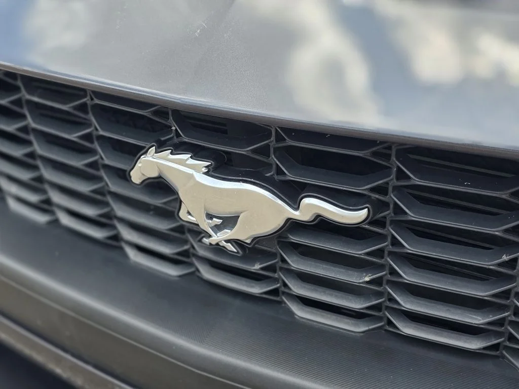 Used 2024 Gray Ford EcoBoost Premium image 31