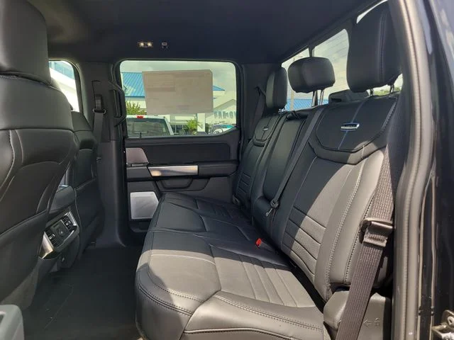 New 2026 Black Metallic Ford Platinum image 13