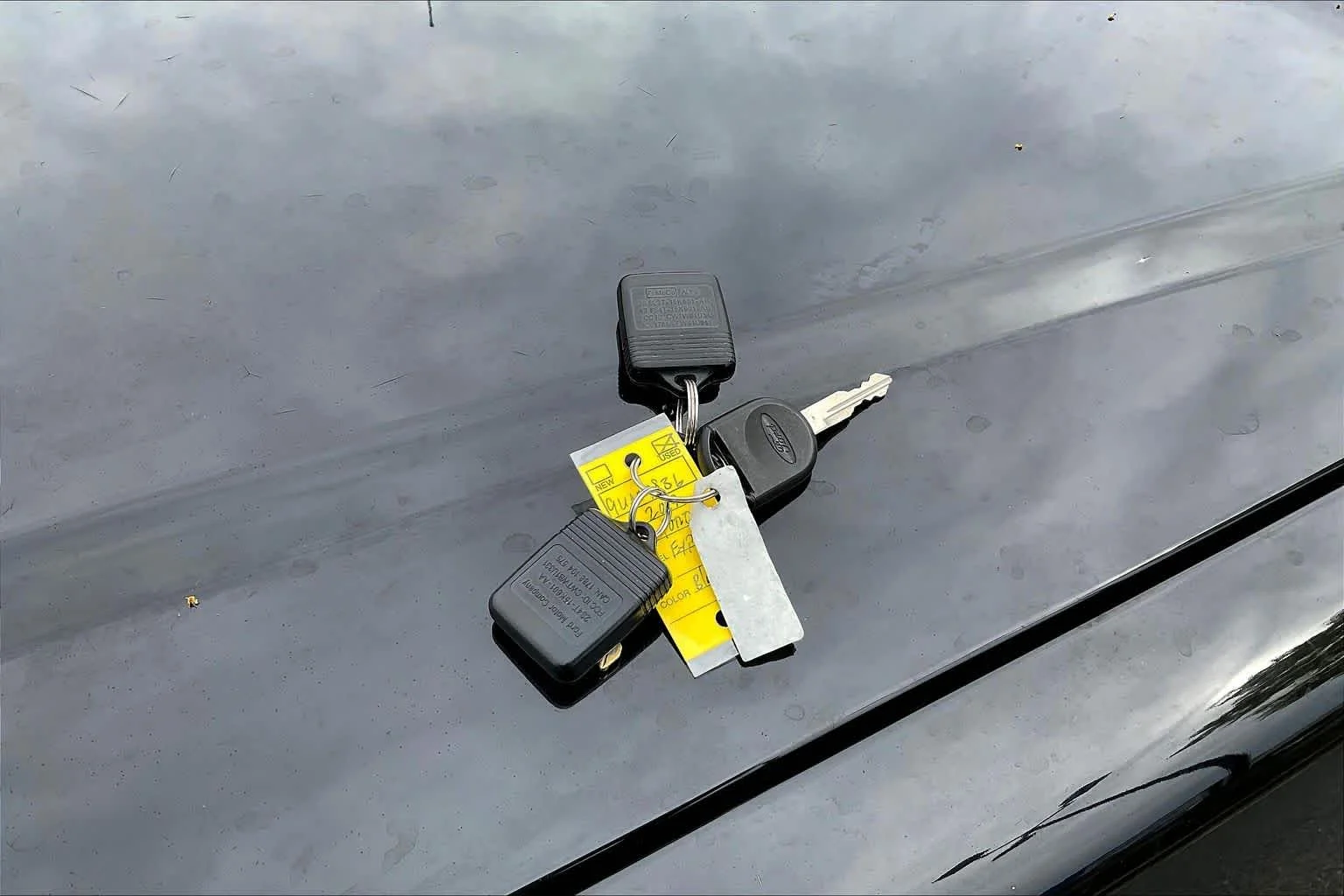 Used 2009 Black Ford Limited image 13