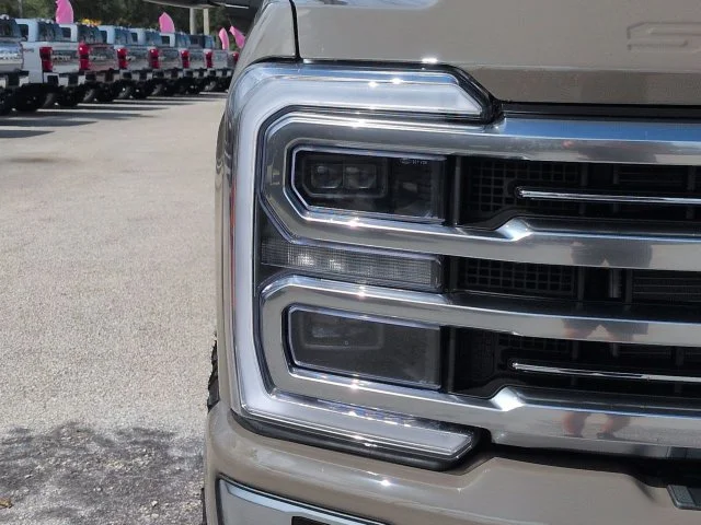 New 2027 Gray Ford Platinum image 10