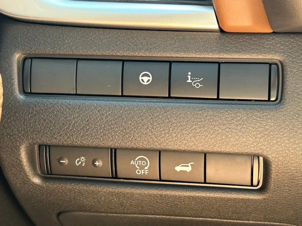 New 2026 Black Nissan Platinum image 30