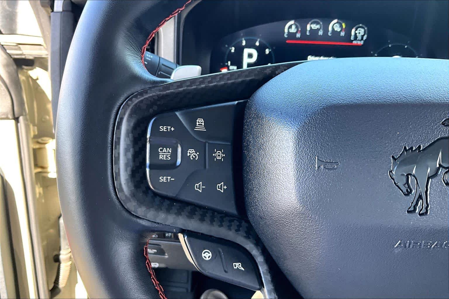 Used 2025 Desert Sand Ford Raptor image 21
