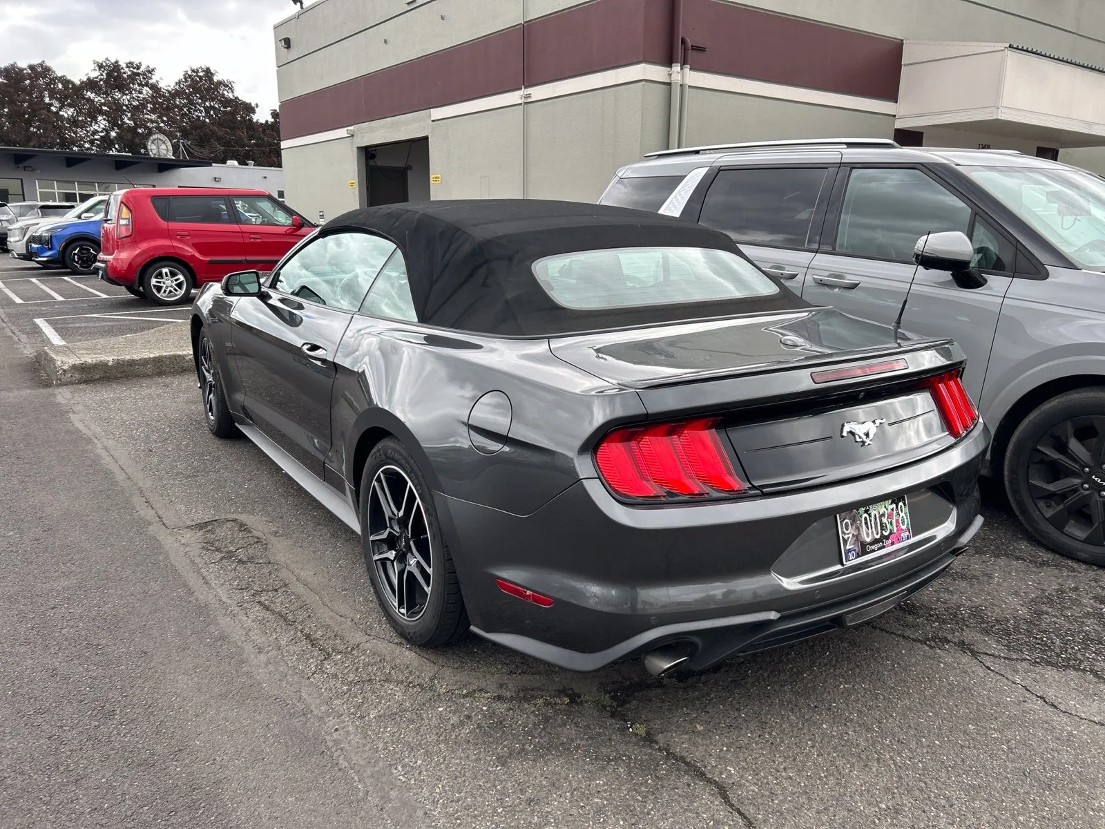 Used 2019 Magnetic Ford EcoBoost Premium image 3