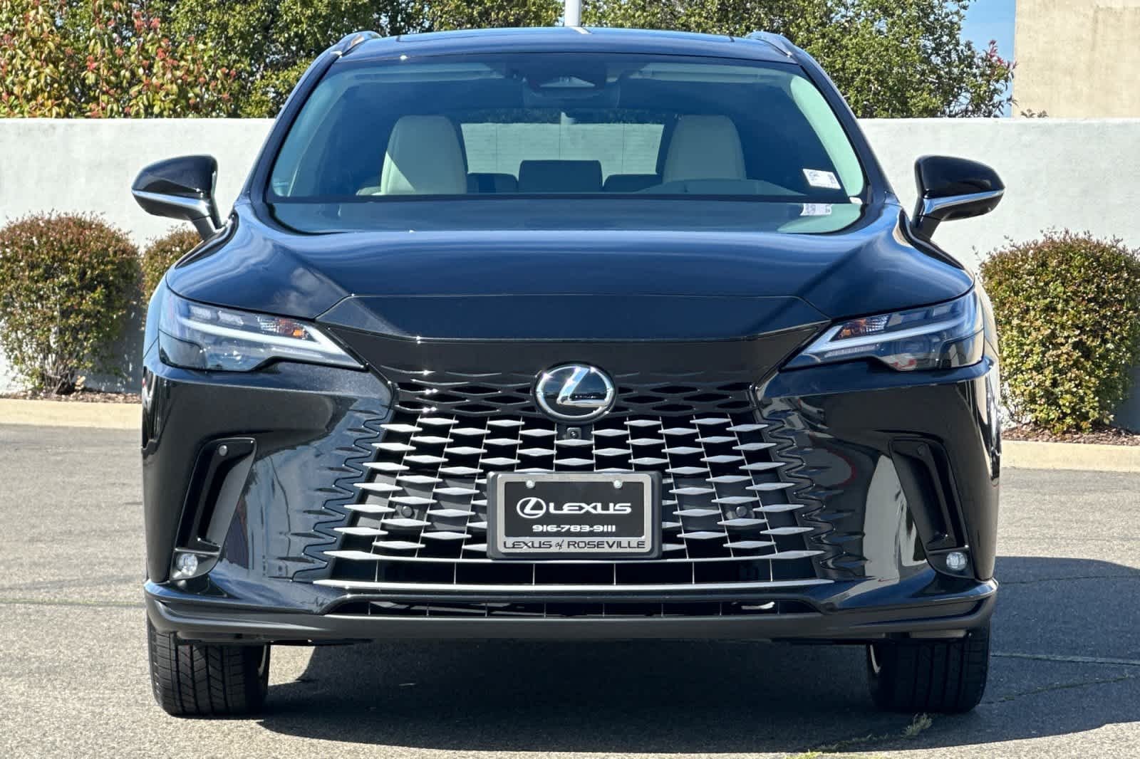2026 Lexus RX 350 Premium - Photo 10