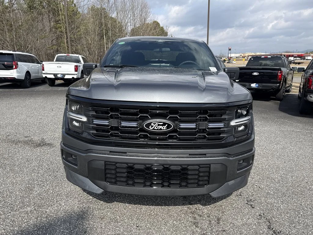 New 2026 Gray Ford STX image 2