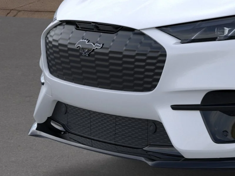 2025 Ford Mustang Mach-E GT - Photo 42