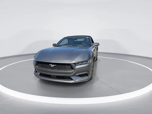 Used 2024 Gray Ford EcoBoost Premium image 3