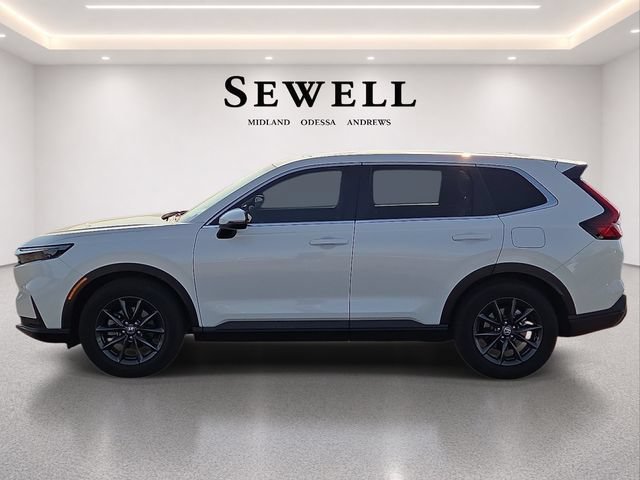Used 2026 White Honda EX-L image 2