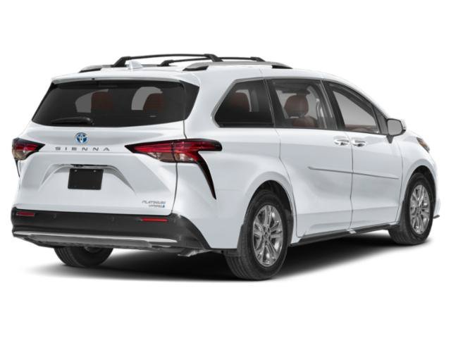 New 2026  Toyota Platinum image 2