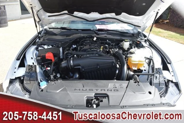 Used 2025 White Ford EcoBoost Fastback image 35