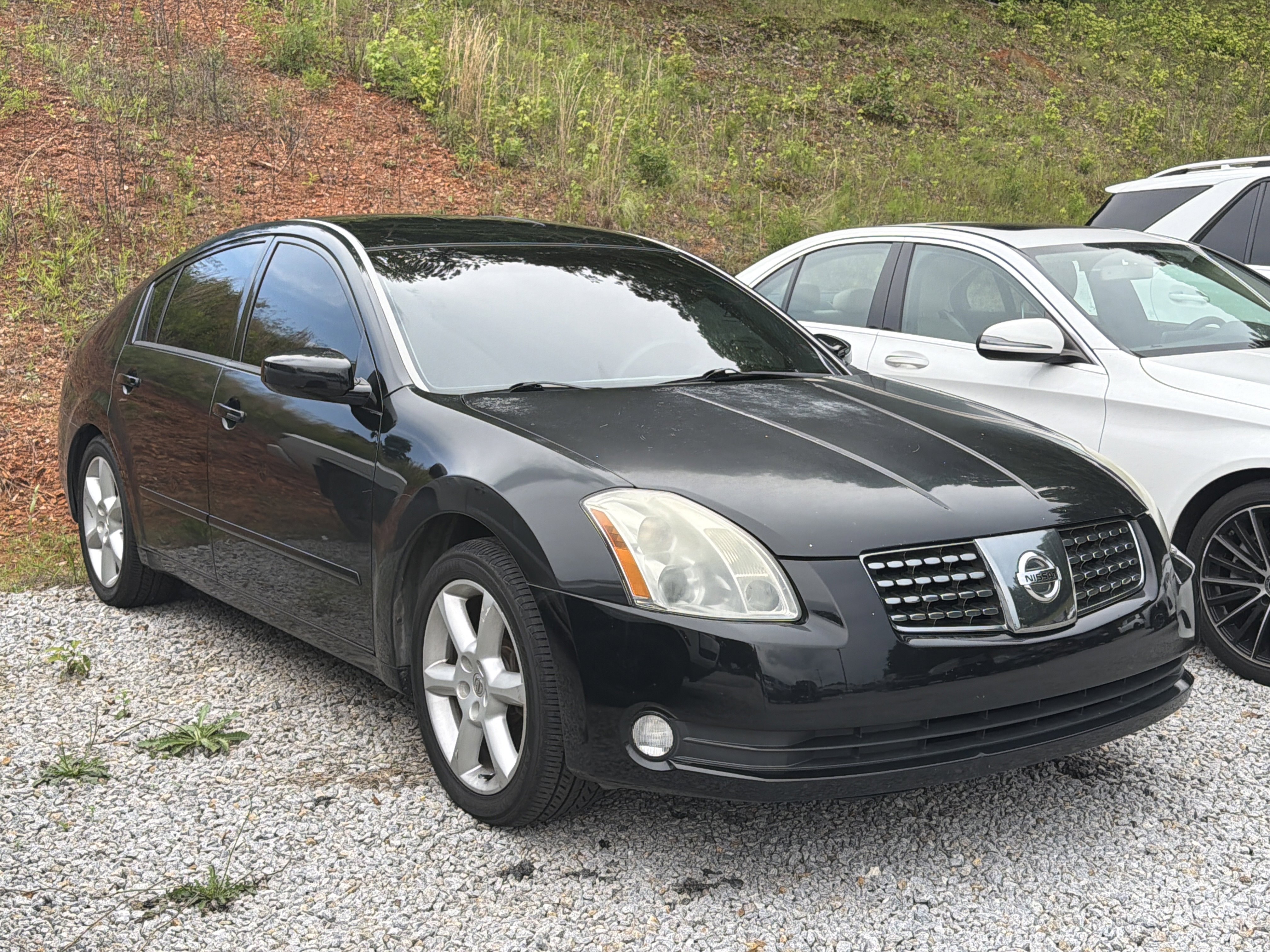 2006 Nissan Maxima 3.5 SE AT's photo