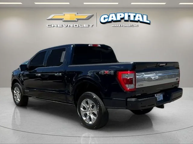 Used 2023 Blue Ford Platinum image 3