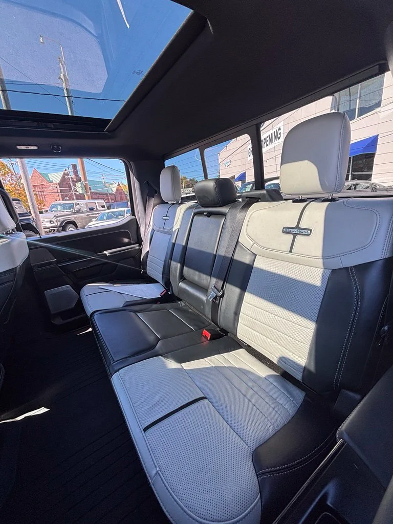 Used 2024 Gray Ford Platinum image 19