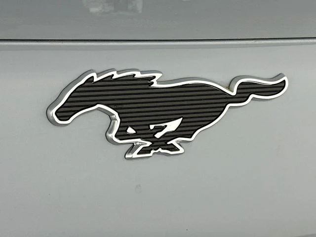 New 2026 Gray Ford Premium image 26