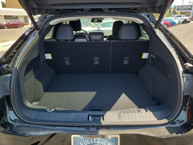 New 2026 Shadow Black Ford Premium image 7