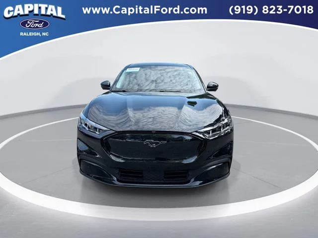 Used 2025 Black Ford Premium image 3