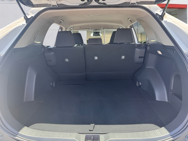 2025 Toyota RAV4 LE - Photo 19