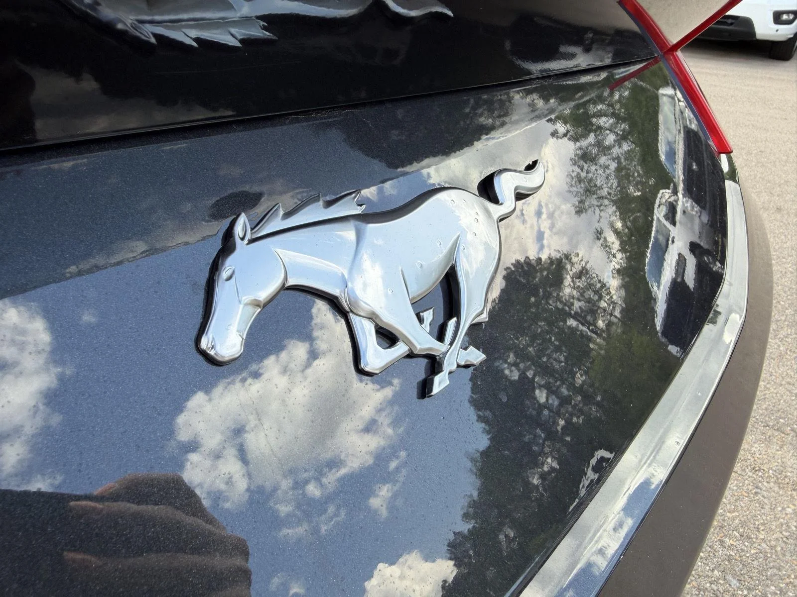 Used 2024 Dark Matter Gray Ford EcoBoost Premium image 23