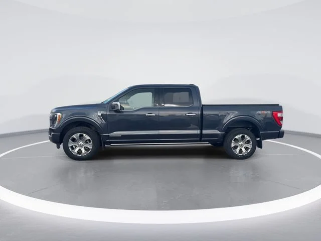 Used 2022 Blue Ford Platinum image 4