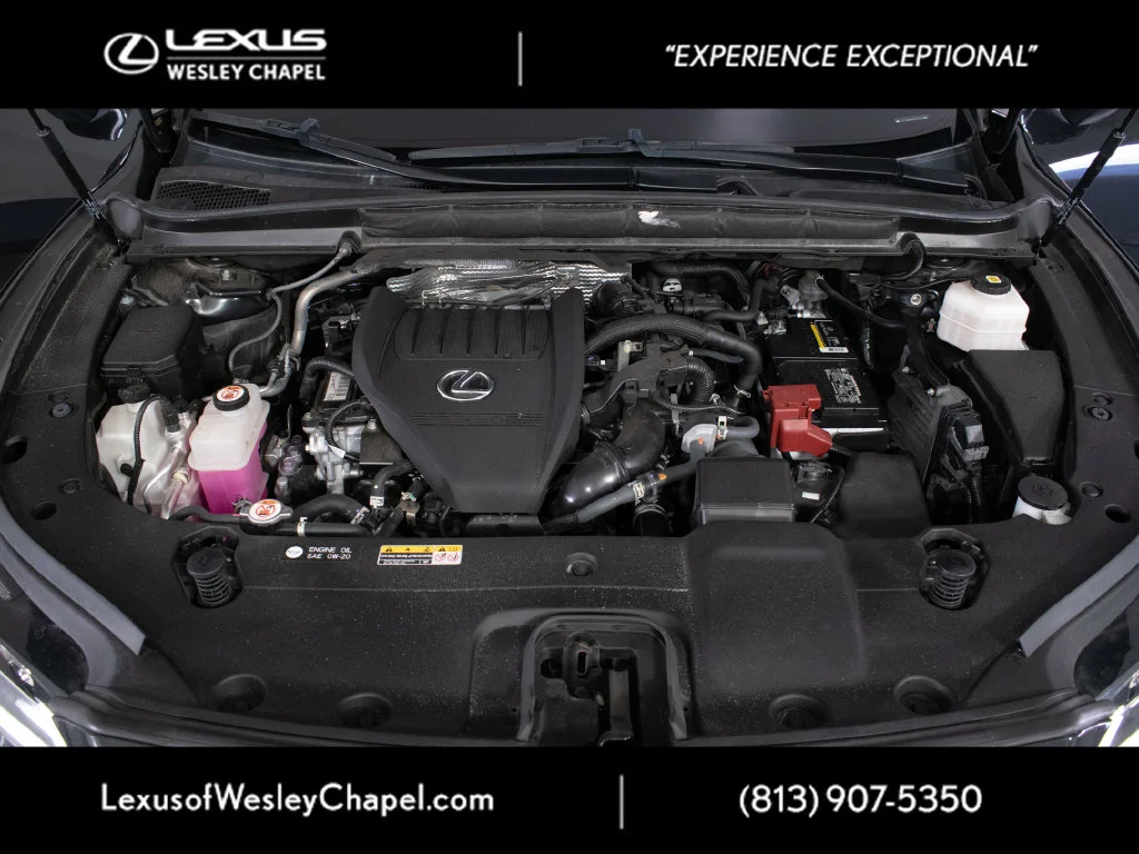 Used 2023 Black Lexus 350 Premium Plus image 10