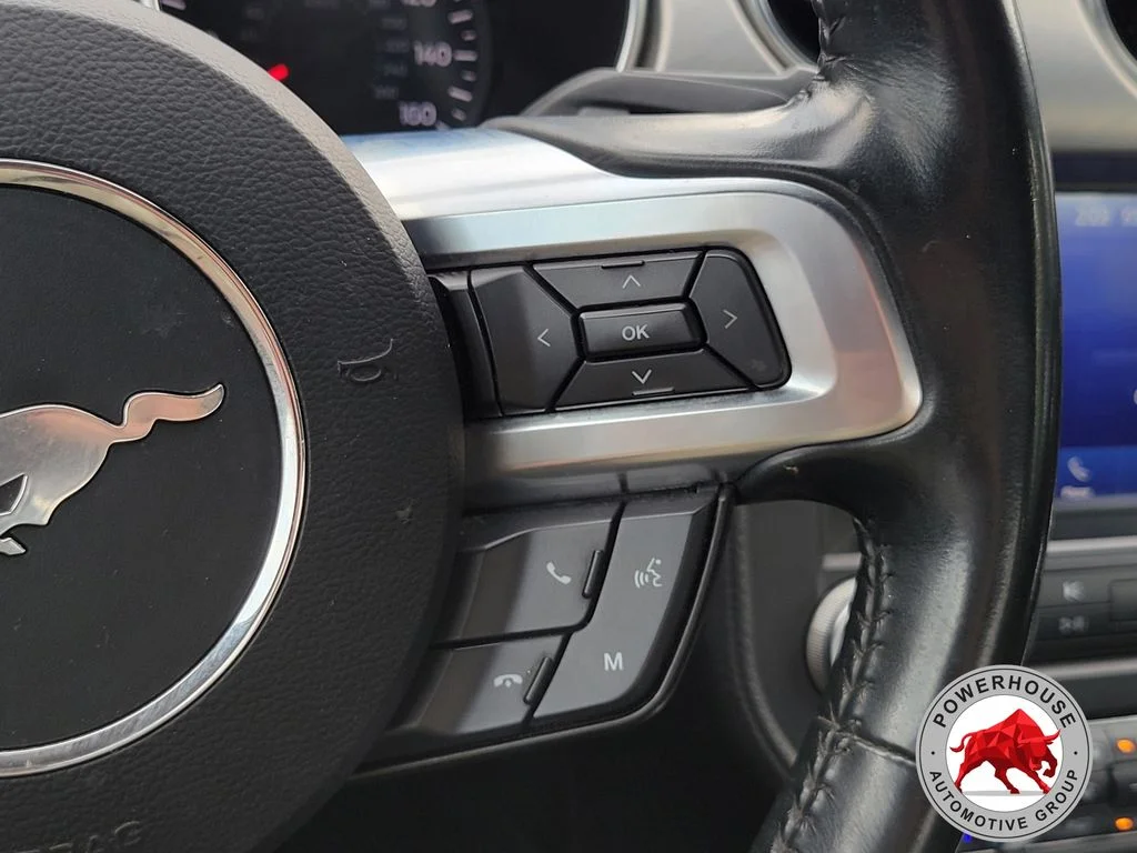 Used 2023 Silver Ford EcoBoost Premium image 25