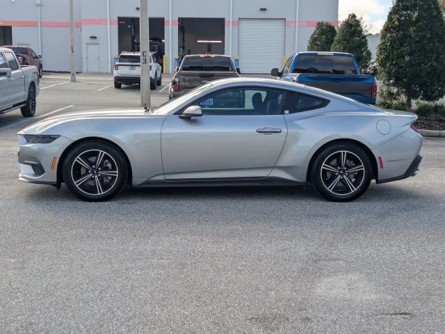 Used 2025 Silver Ford EcoBoost image 7
