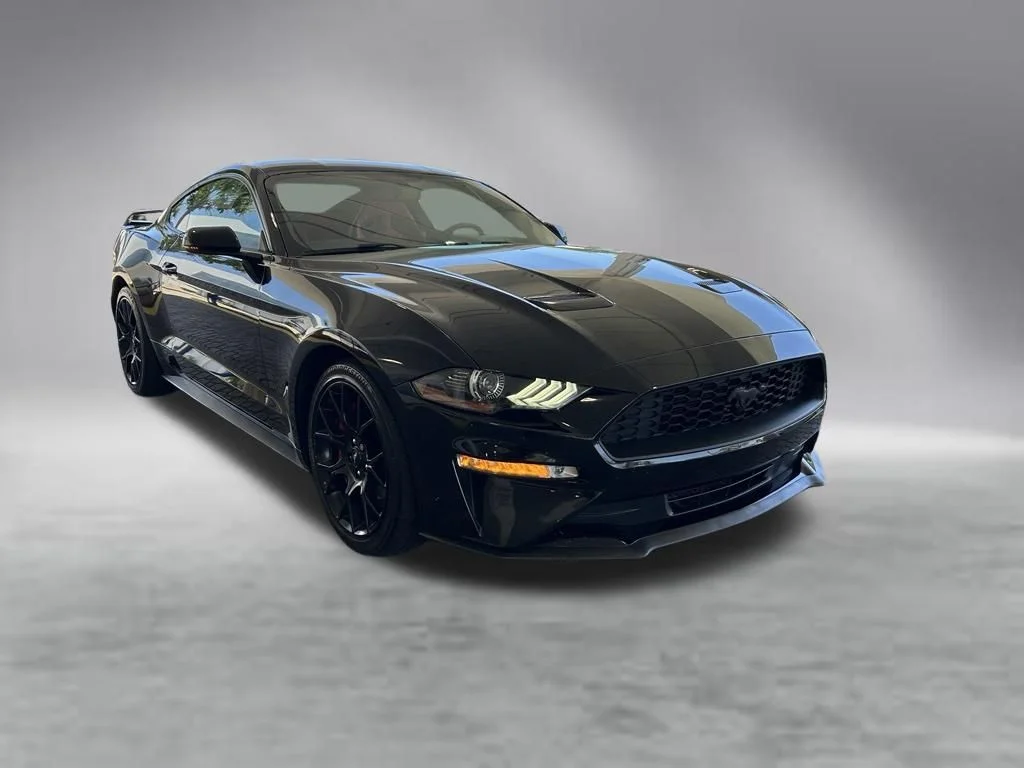 Used 2019 Shadow Black Ford EcoBoost Premium image 2