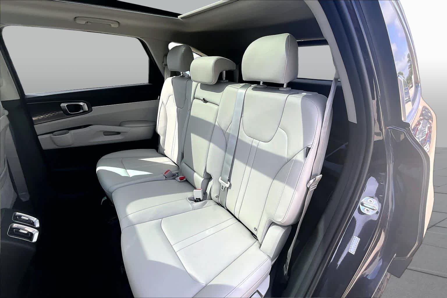 Used 2025 Panthera Metal Kia S image 18