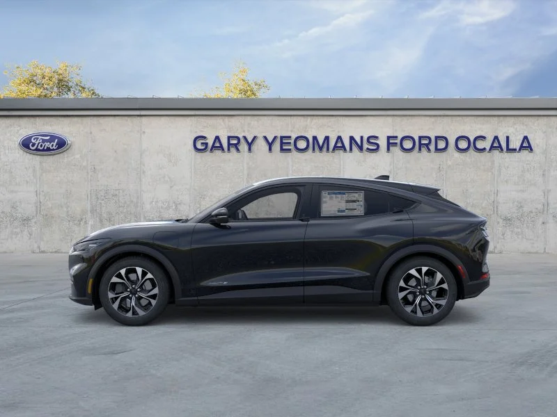 New 2026 Shadow Black Ford Select image 3
