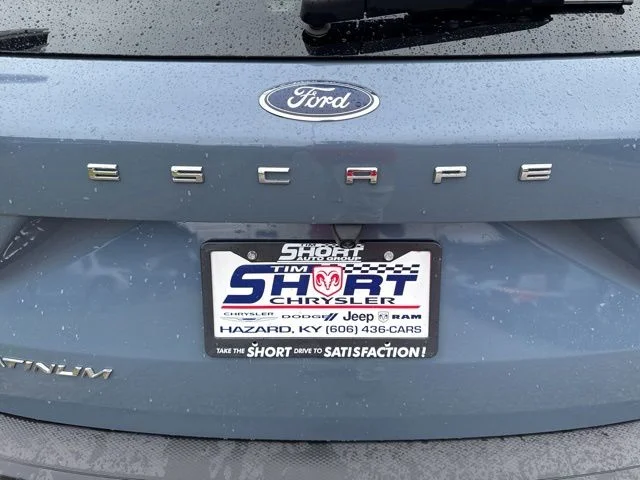 Used 2024  Ford Platinum image 14