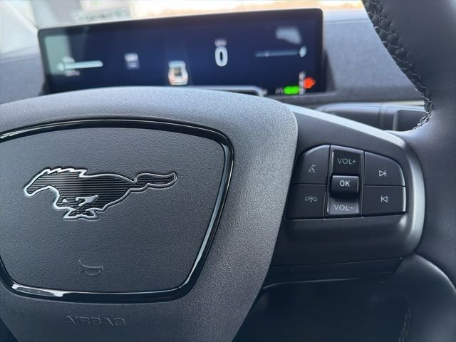 New 2026 Shadow Black Ford Premium image 20