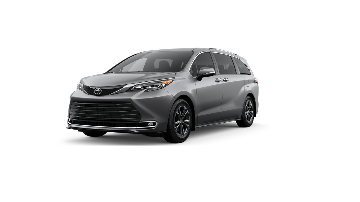 New 2026 Heavy Metallic Toyota Platinum image 23