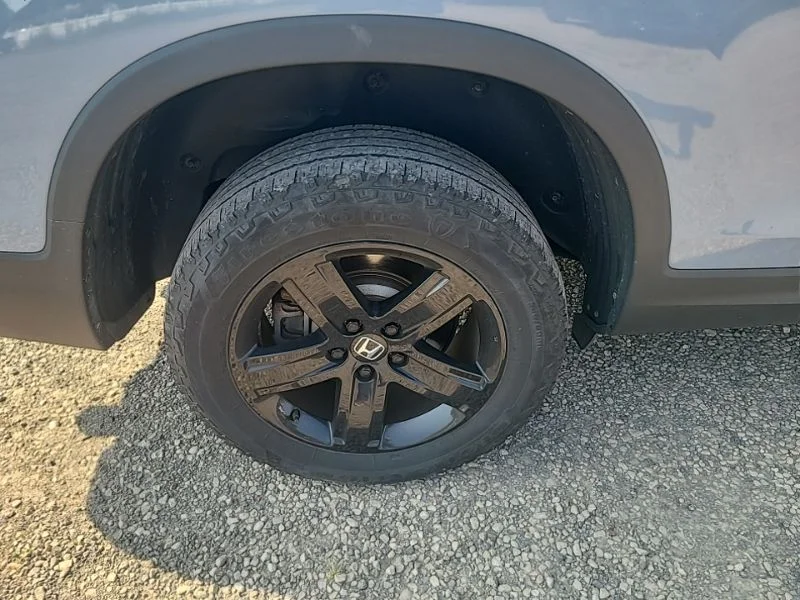 Used 2023  Honda Black Edition image 8