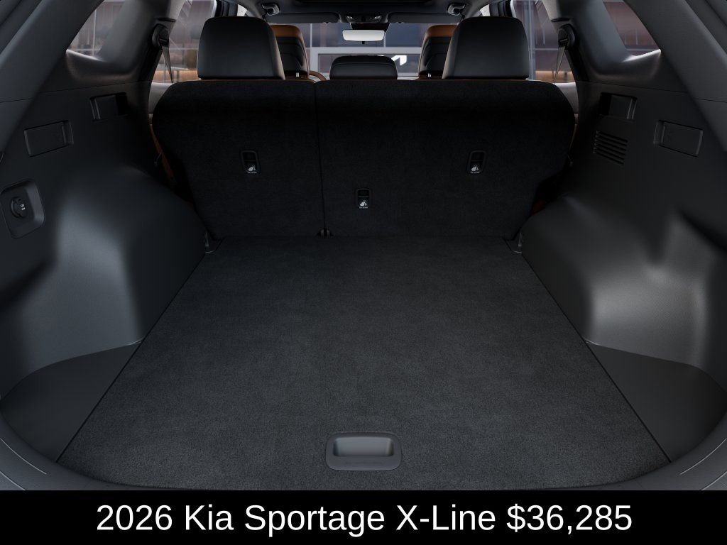 New 2026 Panthera Metal Gray Kia X-Line image 19