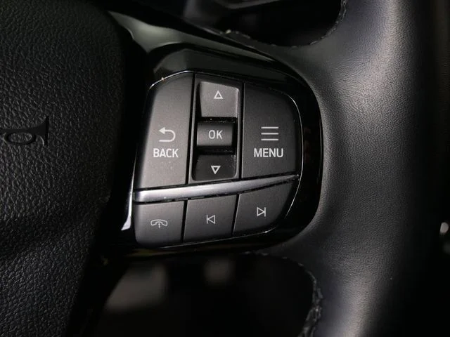 Used 2025  Ford Platinum image 20