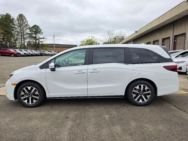 New 2026 Platinum White Pearl Honda EX-L image 3