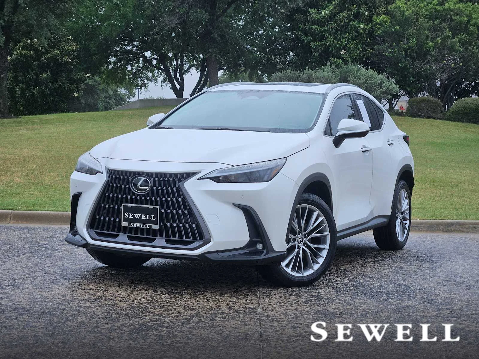 2025 Lexus NX 350 350 Premium AWD's photo