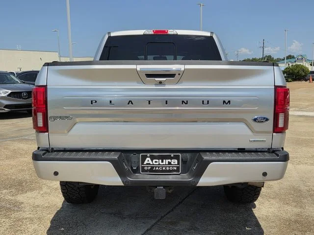 Used 2019 Ingot Silver Ford Platinum image 5