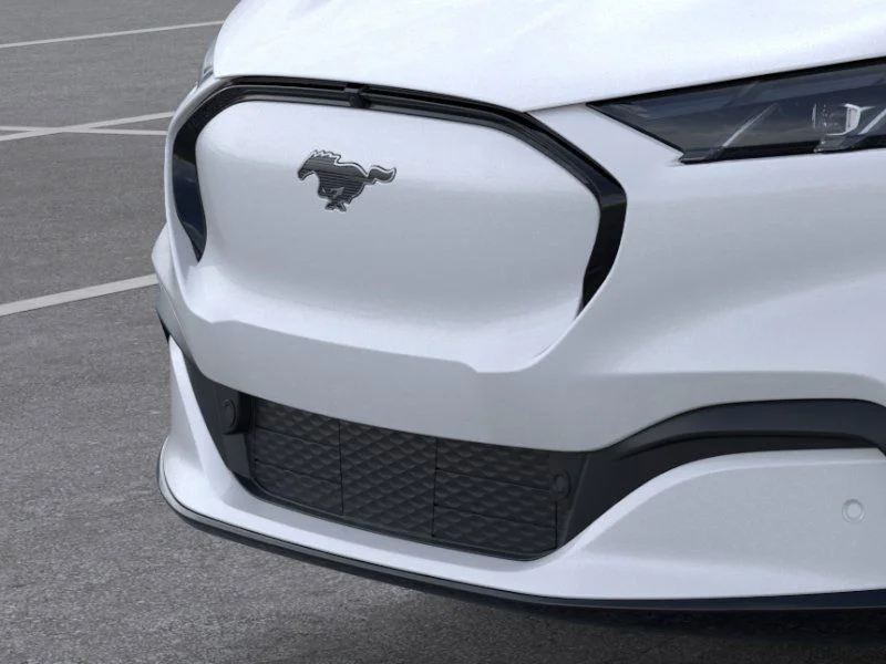 New 2025 White Ford Premium image 18