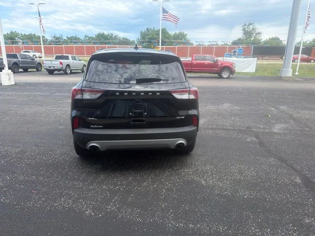 Photo 4