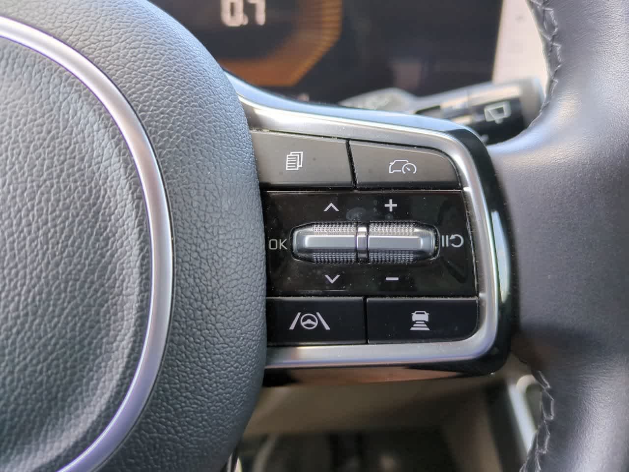 Used 2025 Panthera Metal Kia LXS image 26